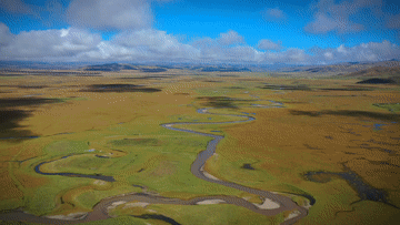 1129122427_16681792723821n.gif