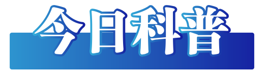 1725322747860.png