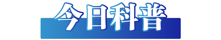 微信图片_20250102083539.png