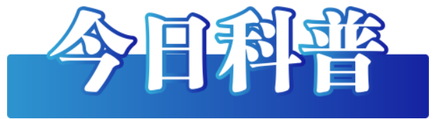微信图片_20250121082724.png